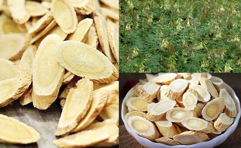 Top 3 thảo dược ngăn ngừa xơ vữa động mạch đẩy lùi đột quỵ nhồi máu cơ tim