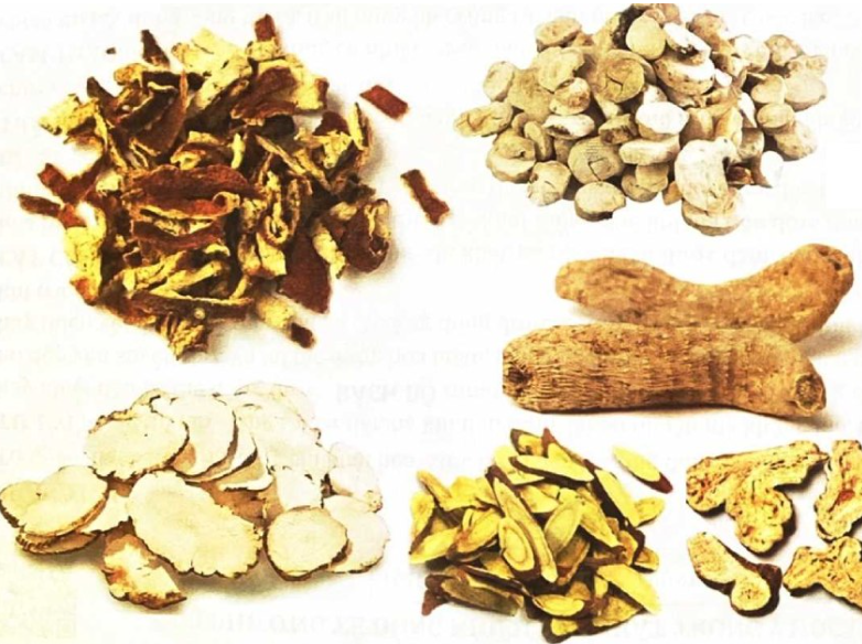 Bài thuốc Đông y trị đột quỵ nhồi máu não giúp tăng cường lưu thông máu giảm bớt di chứng