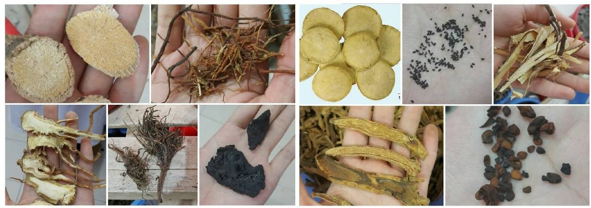Top bài thuốc Đông y trị cao huyết áp hiệu quả giảm nguy cơ đột quỵ bất ngờ