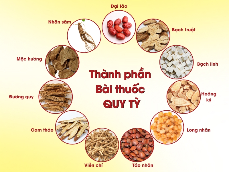 Top 3 bài thuốc Đông y trị thiếu máu não từ thảo dược tự nhiên, dễ áp dụng tại nhà